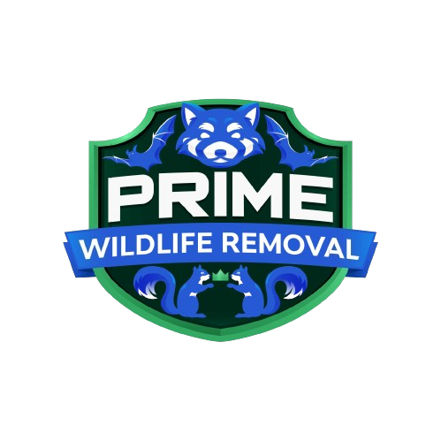Animal Removal Fayette County